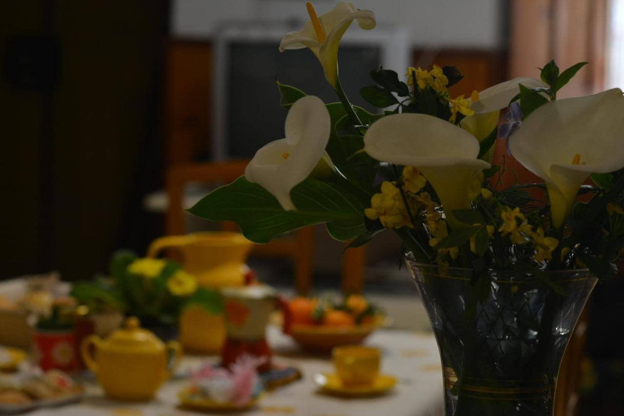 Casa Vacanze I Girasoli Iglesias Buitenkant foto